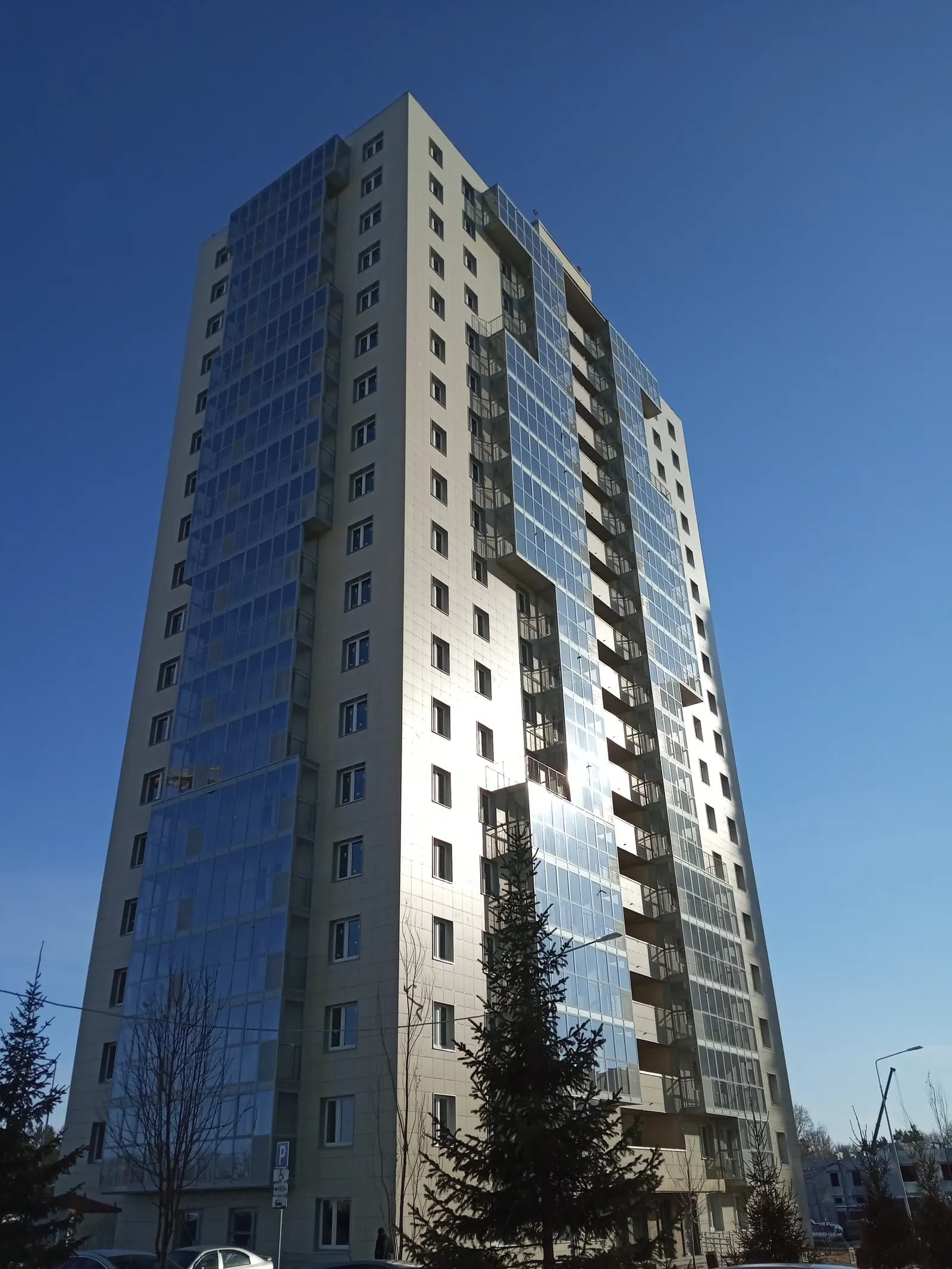 Сказочный лес, фото 4